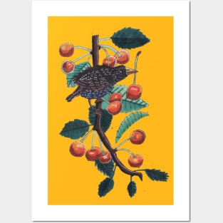 Starling on Cherry Tree Posters and Art